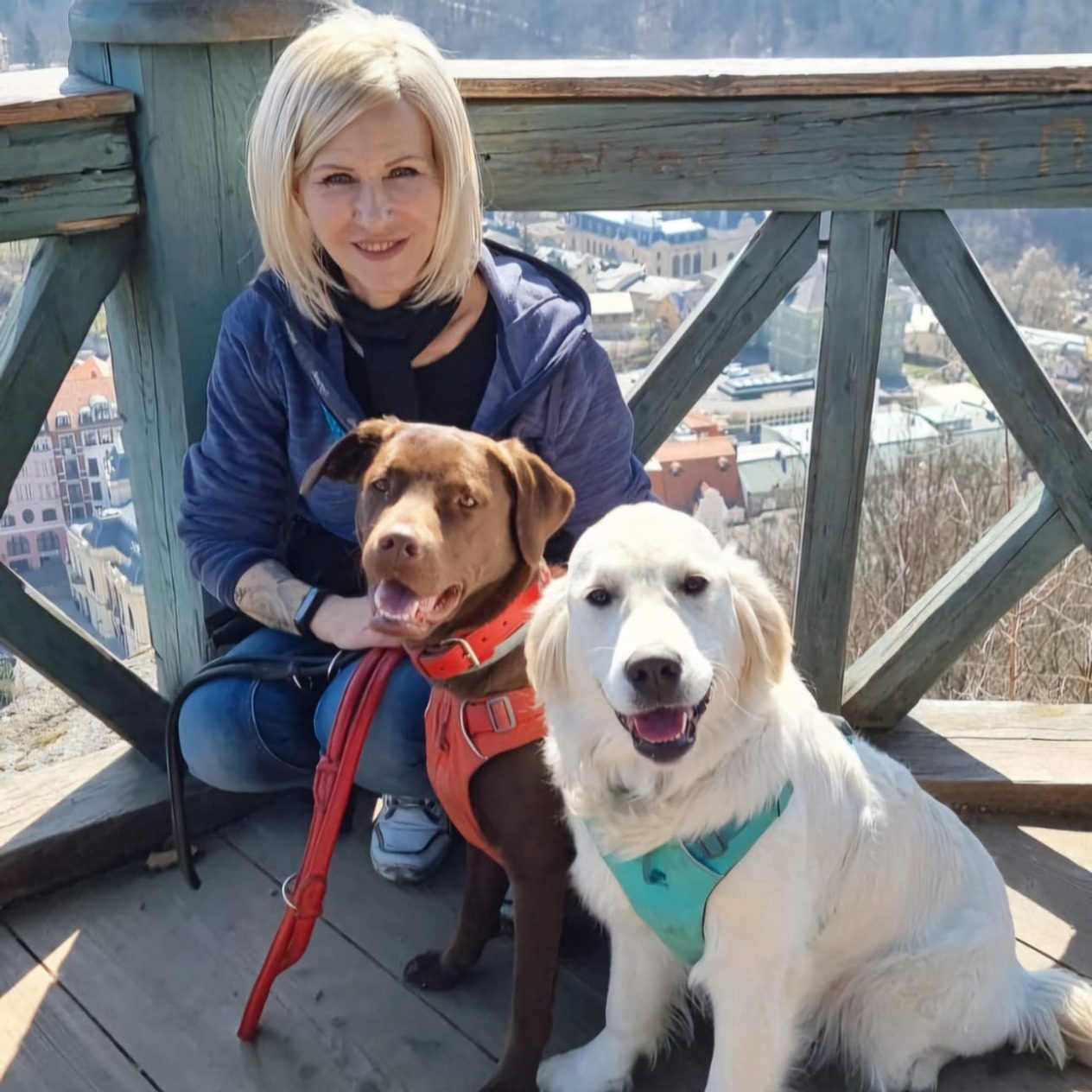 Frau mit zwei Therapiehunden